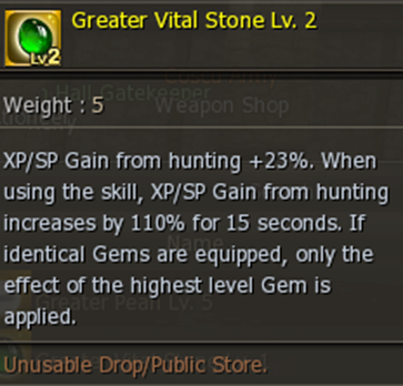 Greater Vital Stone Lv. 2