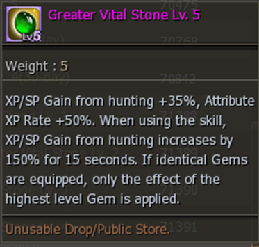 Greater Vital Stone Lv. 5